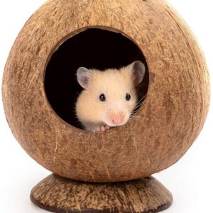Warm Hamster Coconut Shell Nest With Base
