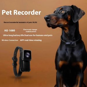 Wifi Camera Neckband Camera Wireless Recorder