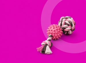 PLAYTIME FAVORITES