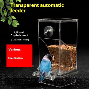 Transparent Automatic Plug-in Bird Food Container