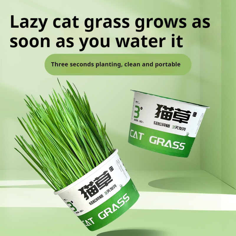 Lazy Cat Grass Canned Hydroponic Soilless Depilation Ball Digestive Snacks